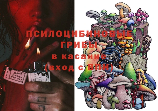 дурь Абдулино