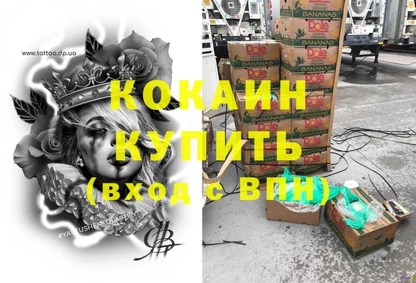 соль ск Абаза